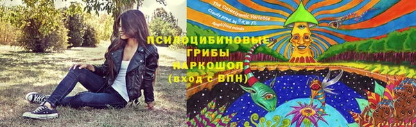 синтетический гашиш Алексин