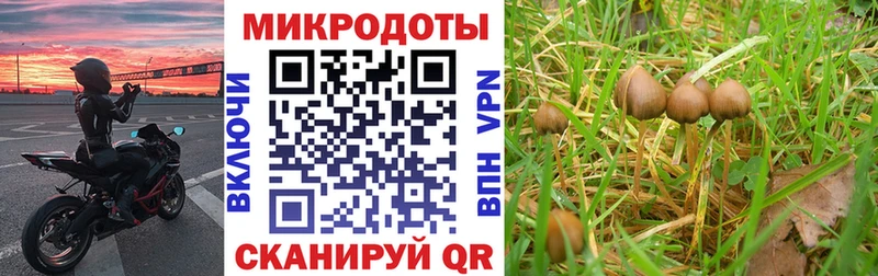 Галлюциногенные грибы Magic Shrooms  Пущино 