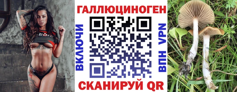 Галлюциногенные грибы Psilocybine cubensis Пущино